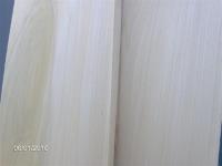 Yellow Poplar