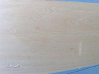 Basswood