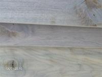 Black Walnut